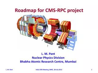 Roadmap for CMS-RPC project