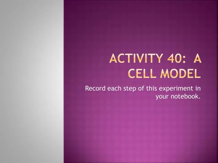 activity 40 a cell model