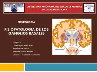 NEUROLOGIA FISIOPATOLOGIA DE LOS GANGLIOS BASALES