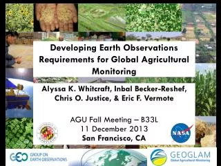 Developing Earth Observations Requirements for Global Agricultural Monitoring