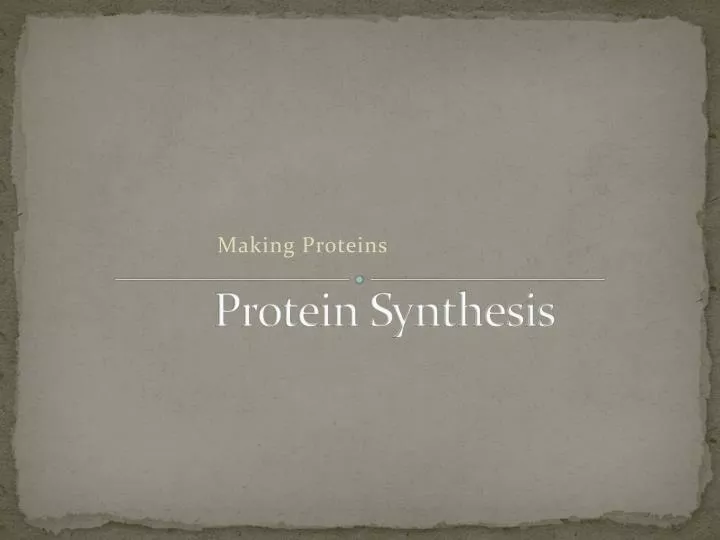 protein synthesis