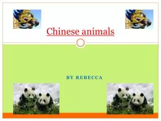 Chinese animals