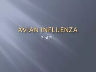 avian influenza