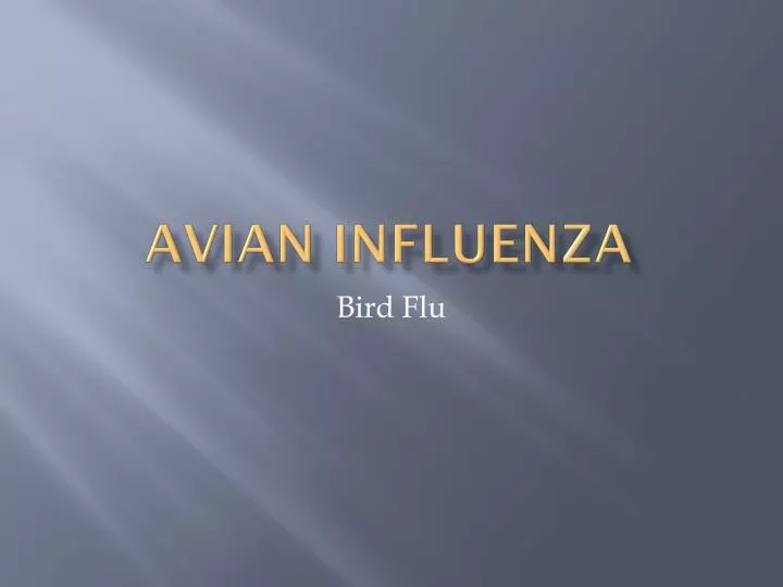 avian influenza