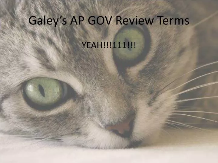 galey s ap gov review terms