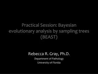 Practical Session: Bayesian evolutionary analysis by sampling trees (BEAST)