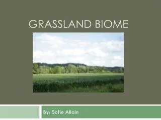 Grassland Biome