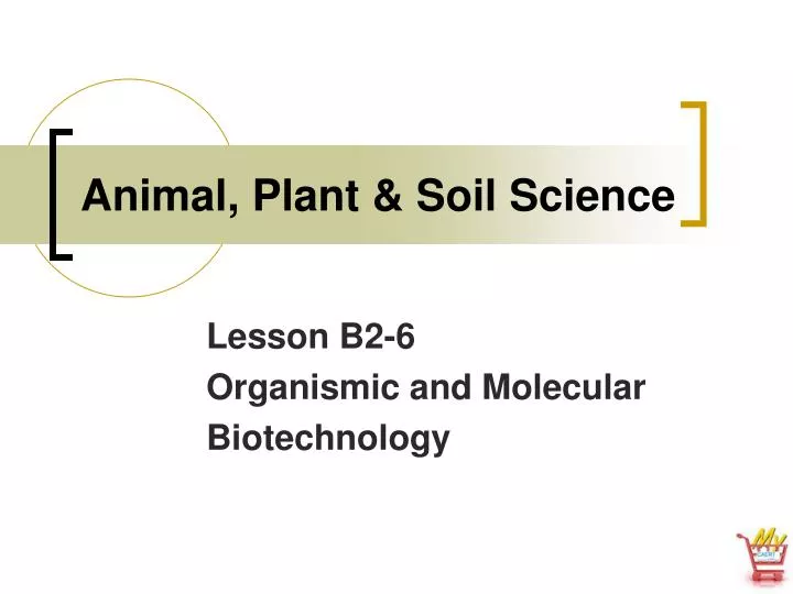 animal plant soil science