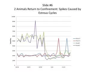 Slide #6 2 Animals Return to Confinement: Spikes Caused by Estrous Cycles