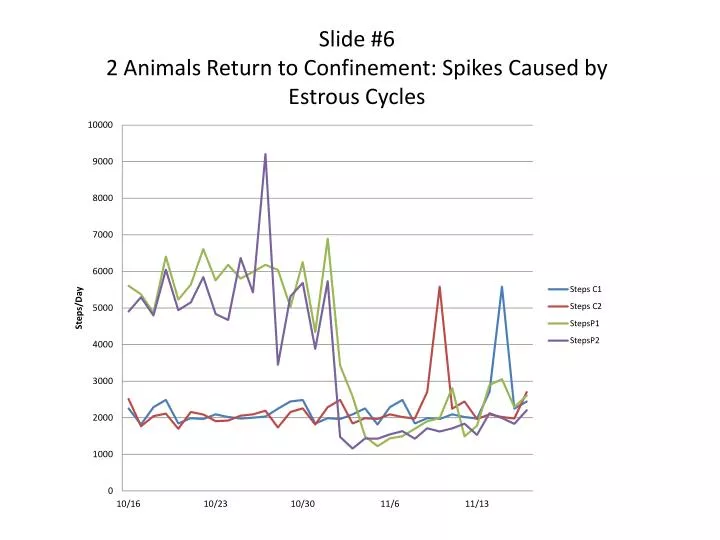 slide 6 2 animals return to confinement spikes caused by estrous cycles