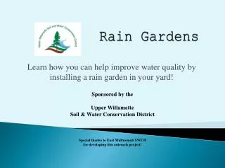 Rain Gardens