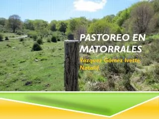 pastoreo en matorrales
