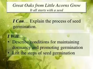 Great Oaks from Little Acorns Grow It all starts with a seed