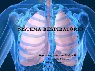 sistema respiratorio
