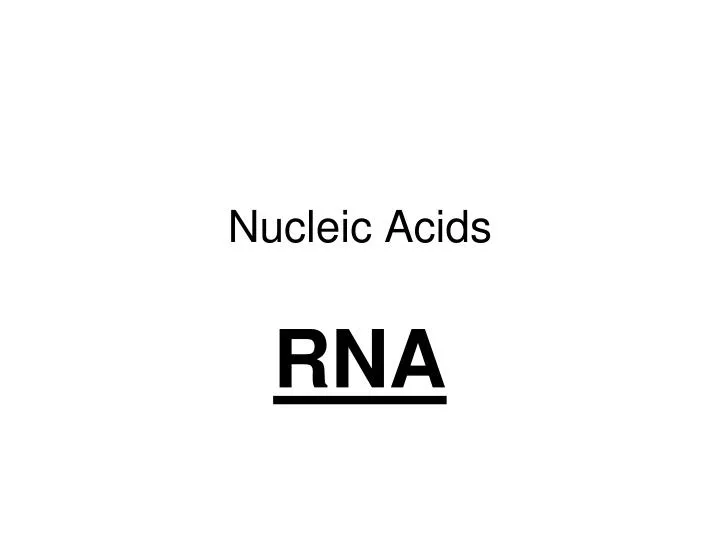 nucleic acids