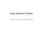 From Gene to Protein - slide 1