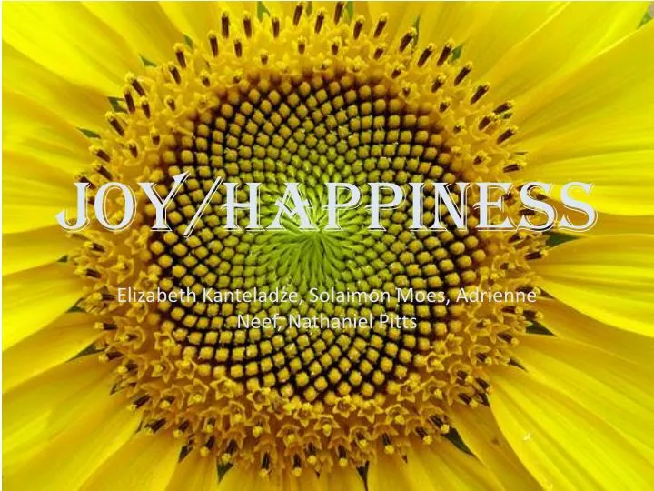 joy happiness