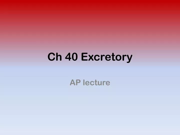 ch 40 excretory