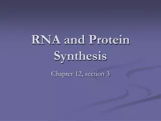 rna and protein synthesis