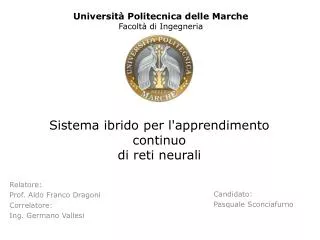 sistema ibrido per l apprendimento continuo di reti neurali