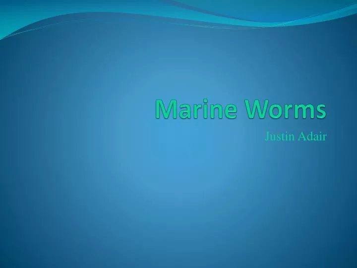 marine worms