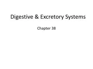 Digestive &amp; Excretory Systems