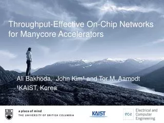 Throughput-Effective On-Chip Networks for Manycore Accelerators