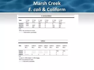 Marsh Creek E. coli &amp; Coliform