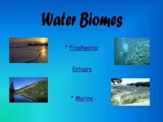 Water Biomes