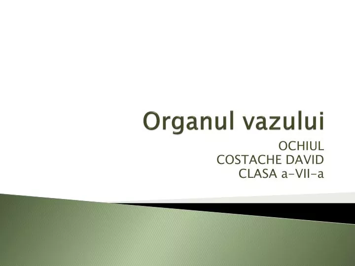 organul vazului