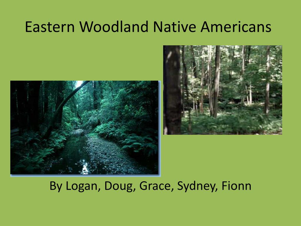 PPT - Eastern Woodland Native Americans PowerPoint Presentation, free ...