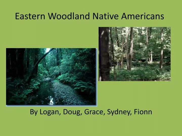 eastern woodland native americans