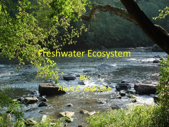 freshwater ecosystem