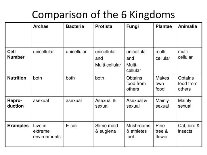 comparison of the 6 kingdoms