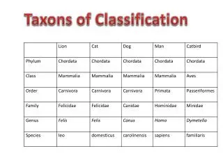 Taxons of Classification