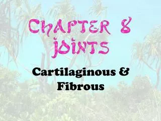 Cartilaginous &amp; Fibrous