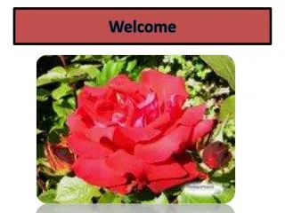 welcome