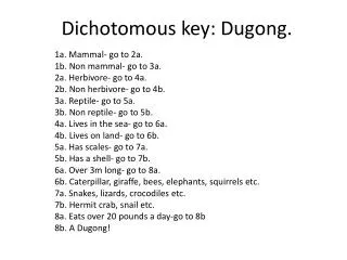 Dichotomous key: Dugong.