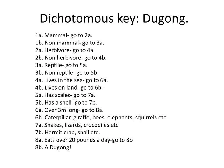 dichotomous key dugong