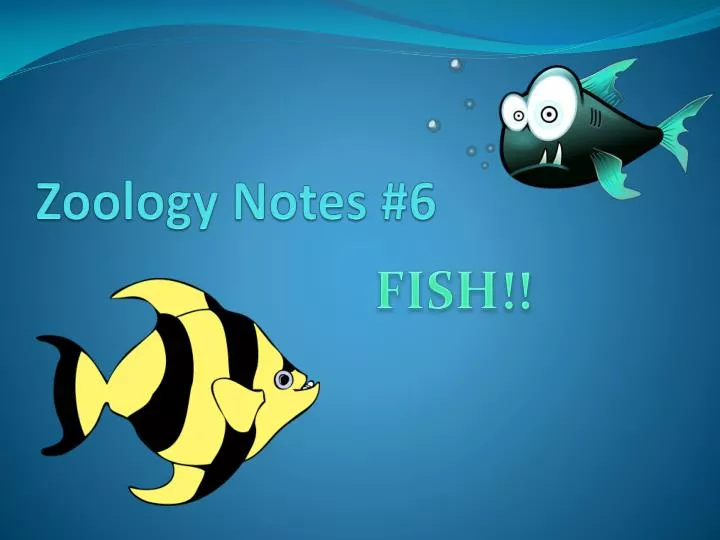 zoology notes 6