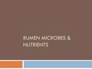 Rumen microbes &amp; nutrients