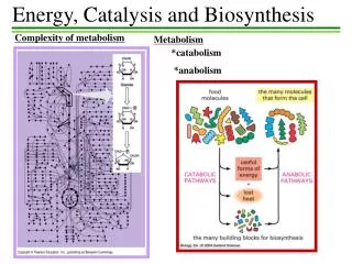 Energy, Catalysis and Biosynthesis