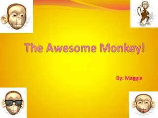 The Awesome Monkey!