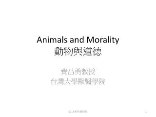 Animals and Morality ?????