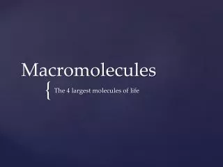 Macromolecules