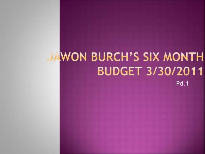 jawon burch s six month budget 3 30 2011