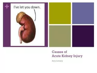 Causes of Acute Kidney Injury