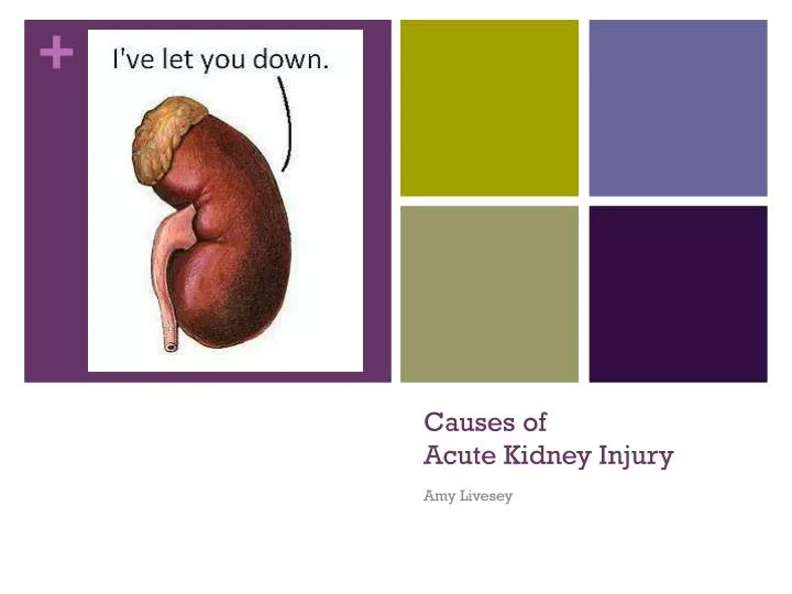 causes of acute kidney injury