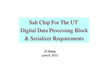 Salt Chip For The UT Digital Data Processing Block &amp; Serializer Requirements