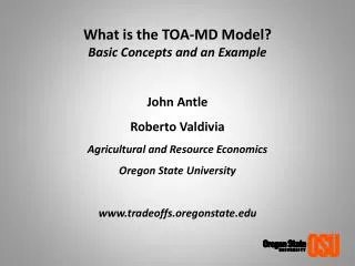 What is the TOA-MD Model? Basic Concepts and an Example John Antle Roberto Valdivia